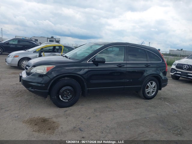 Продажа на аукционе авто 2010 Honda Cr-v Exl, vin: 5J6RE4H77AL811029, номер лота: 12636514