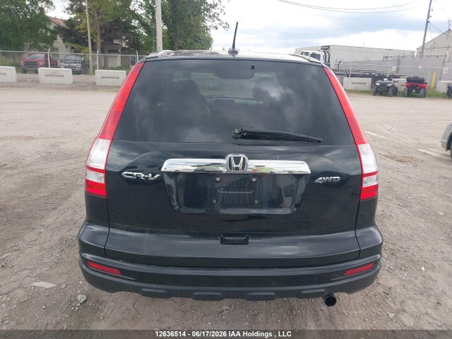 Продажа на аукционе авто 2010 Honda Cr-v Exl, vin: 5J6RE4H77AL811029, номер лота: 12636514
