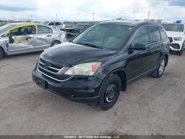 Продажа на аукционе авто 2010 Honda Cr-v Exl, vin: 5J6RE4H77AL811029, номер лота: 12636514