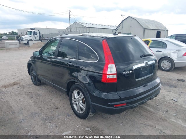Продажа на аукционе авто 2010 Honda Cr-v Exl, vin: 5J6RE4H77AL811029, номер лота: 12636514