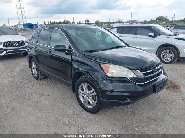 Продажа на аукционе авто 2010 Honda Cr-v Exl, vin: 5J6RE4H77AL811029, номер лота: 12636514