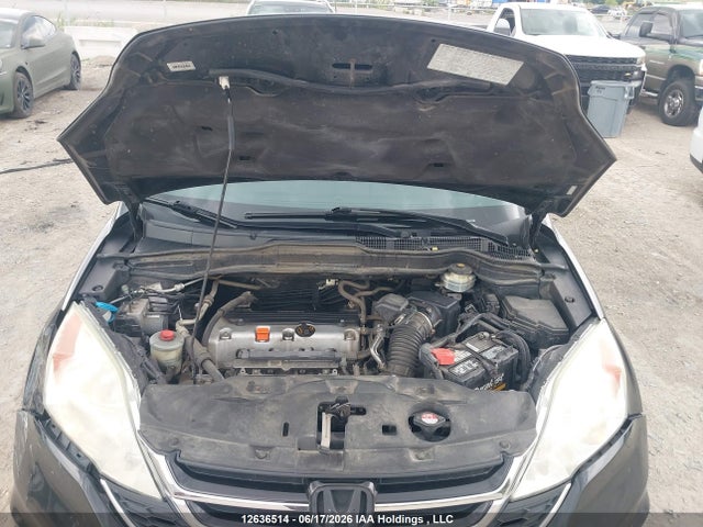 Продажа на аукционе авто 2010 Honda Cr-v Exl, vin: 5J6RE4H77AL811029, номер лота: 12636514