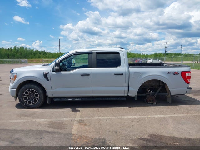 Продаж на аукціоні авто 2021 Ford F-150 Xl, vin: 1FTEW1EP9MKD63049, номер лоту: 12636525