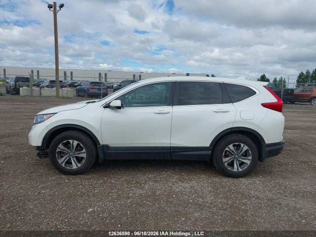 Продаж на аукціоні авто 2018 Honda Cr-v Lx, vin: 2HKRW2H21JH123303, номер лоту: 12636598