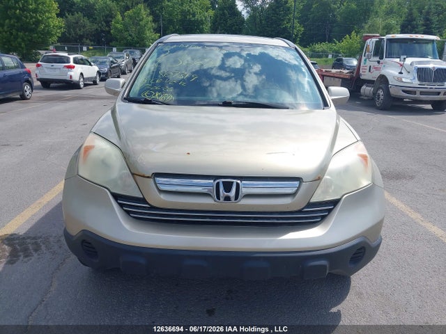 2008 Honda Cr-v Exl მანქანა იყიდება აუქციონზე, vin: 5J6RE48748L807319, აუქციონის ნომერი: 12636694