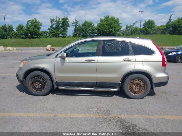 2008 Honda Cr-v Exl მანქანა იყიდება აუქციონზე, vin: 5J6RE48748L807319, აუქციონის ნომერი: 12636694