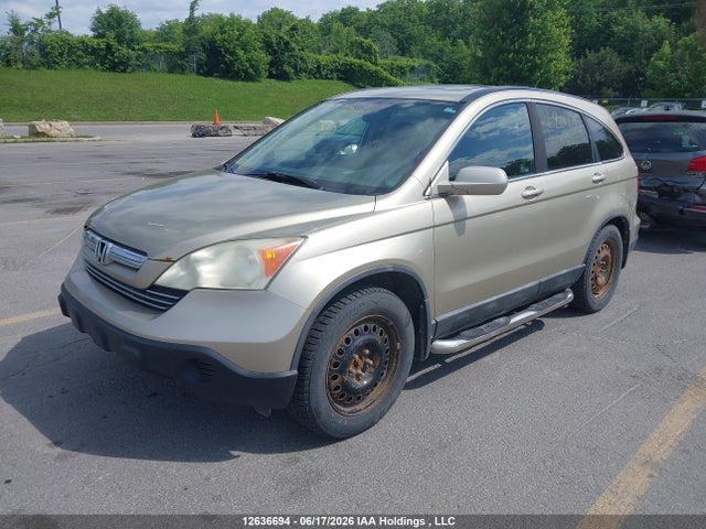 2008 Honda Cr-v Exl მანქანა იყიდება აუქციონზე, vin: 5J6RE48748L807319, აუქციონის ნომერი: 12636694