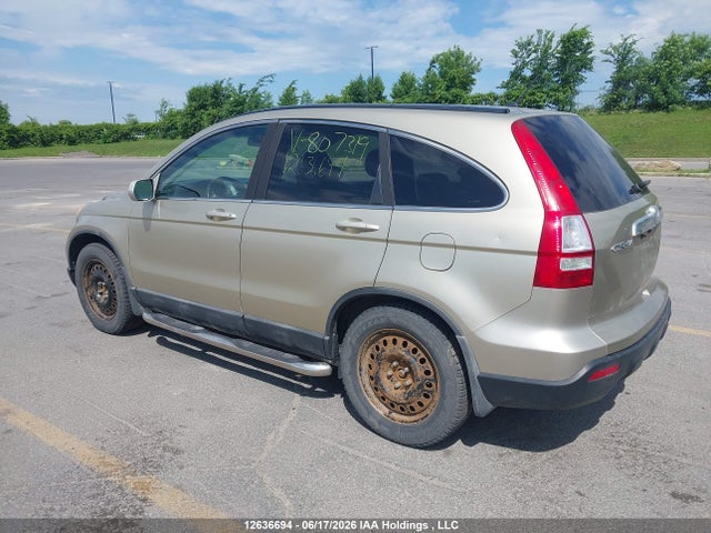 2008 Honda Cr-v Exl მანქანა იყიდება აუქციონზე, vin: 5J6RE48748L807319, აუქციონის ნომერი: 12636694