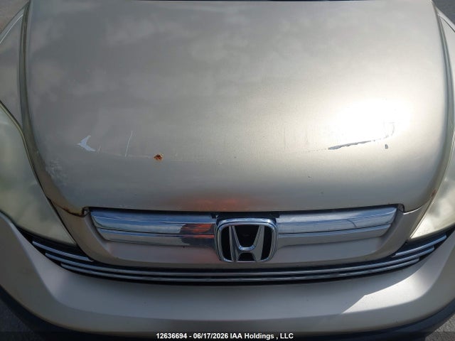 2008 Honda Cr-v Exl მანქანა იყიდება აუქციონზე, vin: 5J6RE48748L807319, აუქციონის ნომერი: 12636694