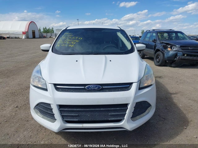 Ford ESCAPE SE 2016 1FMCU9GX4GUB49051 Image 12