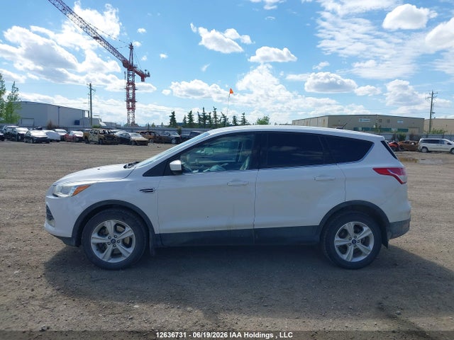 Ford ESCAPE SE 2016 1FMCU9GX4GUB49051 Image 14