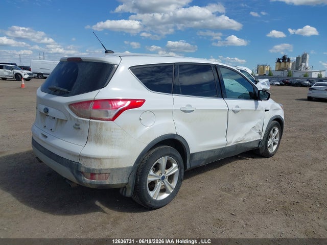 Ford ESCAPE SE 2016 1FMCU9GX4GUB49051 Image 4