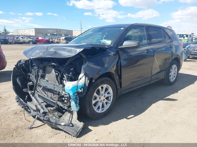 Chevrolet EQUINOX LS 2019 2GNAXHEV3K6165528 Image 2