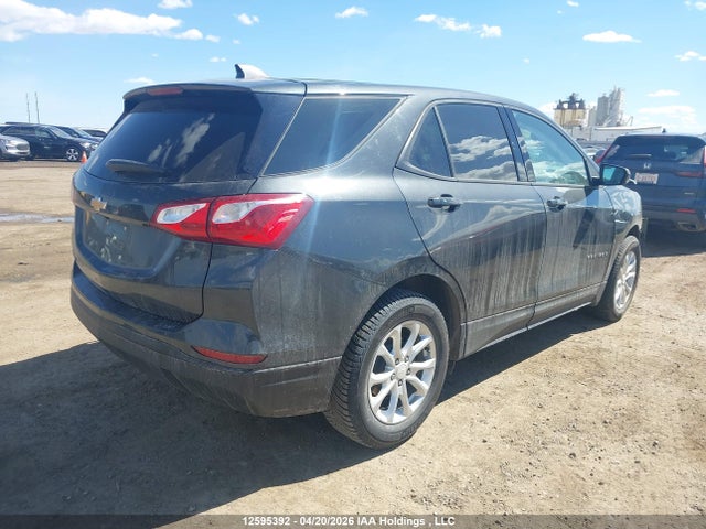 Chevrolet EQUINOX LS 2019 2GNAXHEV3K6165528 Image 4
