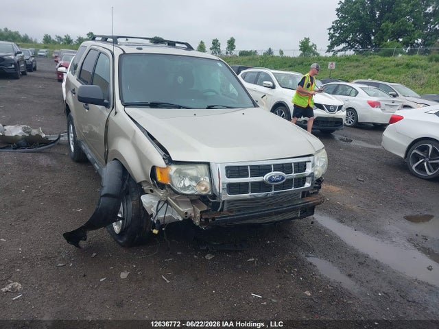 12636772 :رقم المزاد ، 1FMCU0D77AKC74032 vin ، 2010 Ford Escape Xlt Automatic/xlt Manual مزاد بيع