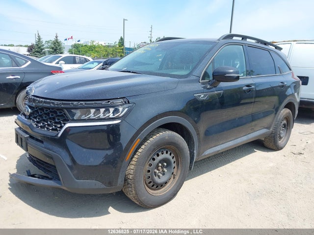 KIA Sorento 2021 5XYRGDLF4MG050345 Image 2