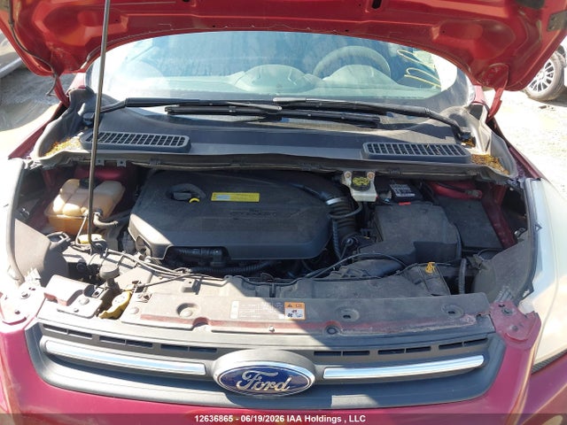 Ford ESCAPE SE 2014 1FMCU0GX1EUD03742 Image 10