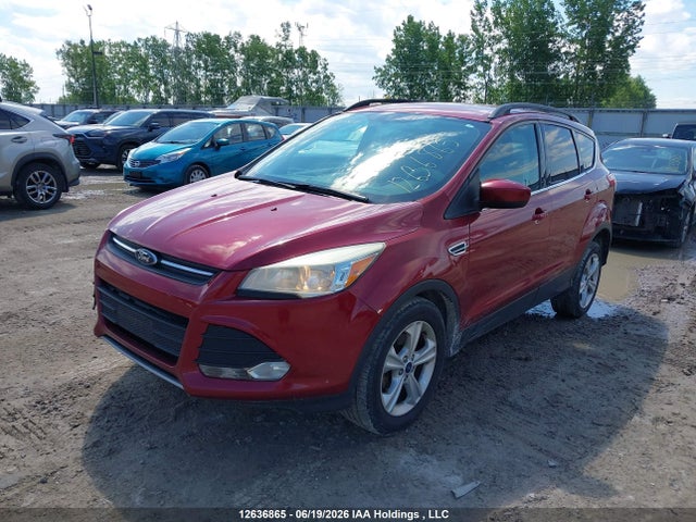Ford ESCAPE SE 2014 1FMCU0GX1EUD03742 Image 2