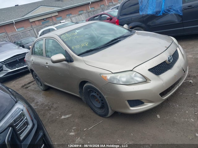 12636914 :رقم المزاد ، 2T1BU40E49C074900 vin ، 2009 Toyota Corolla S/le/xle مزاد بيع