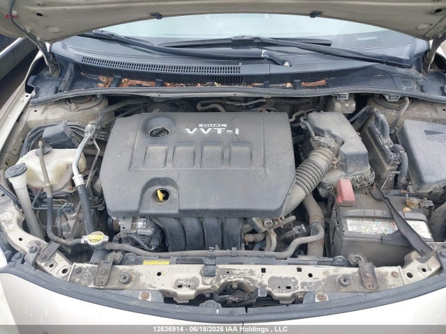 12636914 :رقم المزاد ، 2T1BU40E49C074900 vin ، 2009 Toyota Corolla S/le/xle مزاد بيع