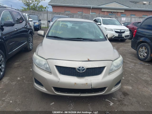 12636914 :رقم المزاد ، 2T1BU40E49C074900 vin ، 2009 Toyota Corolla S/le/xle مزاد بيع