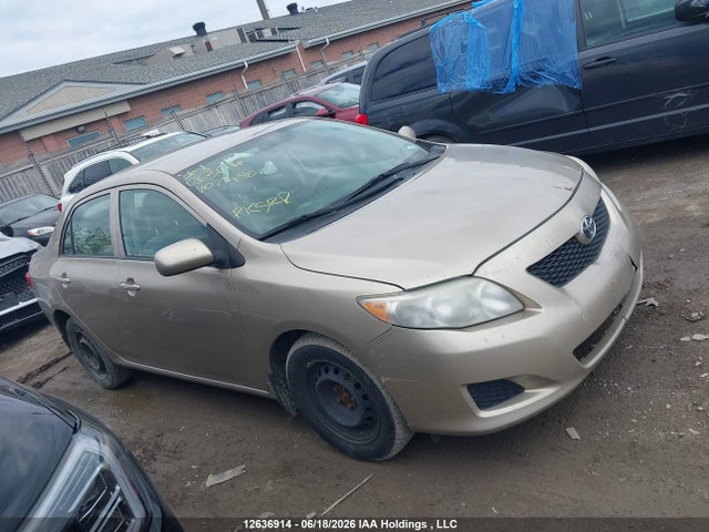 12636914 :رقم المزاد ، 2T1BU40E49C074900 vin ، 2009 Toyota Corolla S/le/xle مزاد بيع