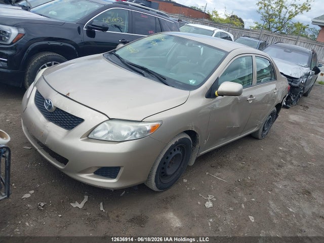 12636914 :رقم المزاد ، 2T1BU40E49C074900 vin ، 2009 Toyota Corolla S/le/xle مزاد بيع