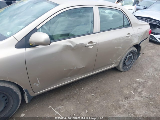 12636914 :رقم المزاد ، 2T1BU40E49C074900 vin ، 2009 Toyota Corolla S/le/xle مزاد بيع