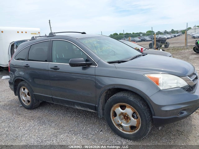 Продаж на аукціоні авто 2011 Honda Cr-v, vin: 5J6RE4H30BL824820, номер лоту: 12636963