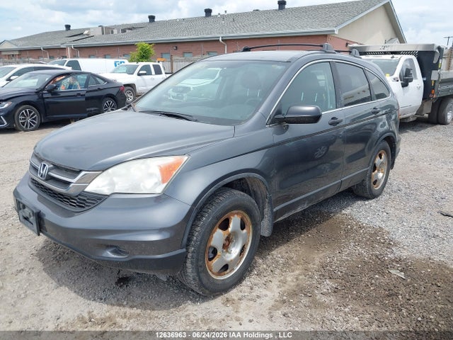 Продаж на аукціоні авто 2011 Honda Cr-v, vin: 5J6RE4H30BL824820, номер лоту: 12636963