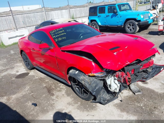 12637019 :رقم المزاد ، 1FA6P8TH0K5102609 vin ، 2019 Ford Mustang Ecoboost/ecoboost Premium مزاد بيع