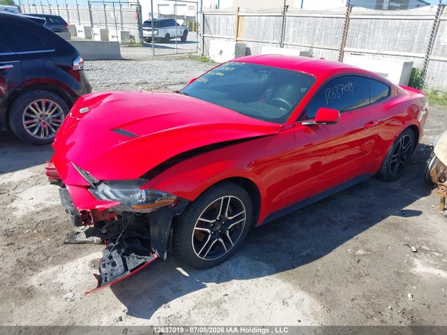 12637019 :رقم المزاد ، 1FA6P8TH0K5102609 vin ، 2019 Ford Mustang Ecoboost/ecoboost Premium مزاد بيع