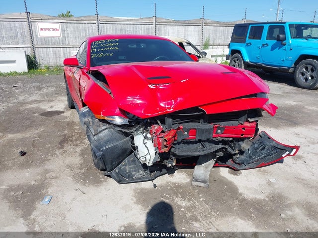 12637019 :رقم المزاد ، 1FA6P8TH0K5102609 vin ، 2019 Ford Mustang Ecoboost/ecoboost Premium مزاد بيع