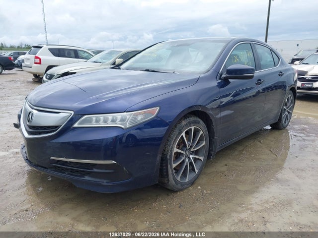 19UUB3F59GA800916 Acura TLX TECH