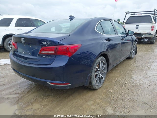 19UUB3F59GA800916 Acura TLX TECH