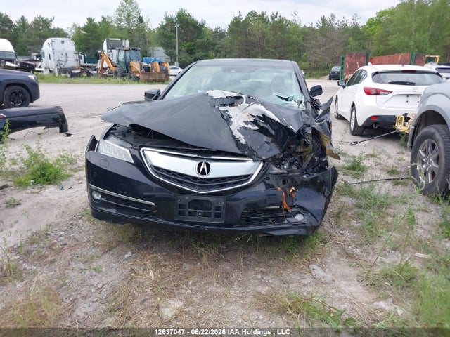 19UUB3F71HA801125 Acura Tlx Elite