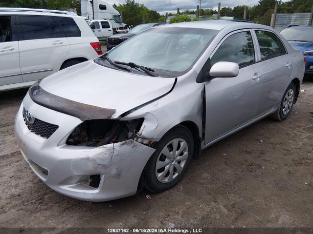 2009 Toyota Corolla Ce მანქანა იყიდება აუქციონზე, vin: 2T1BU40E19C017795, აუქციონის ნომერი: 12637162