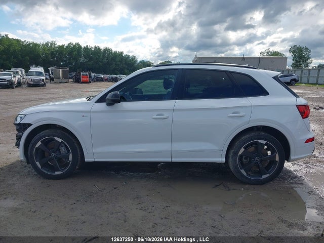 12637250 :رقم المزاد ، WA1FNAFY6K2063426 vin ، 2019 Audi Q5 45 Technik مزاد بيع