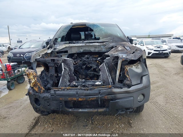 12637331 :رقم المزاد ، 1FTFW1ET1DKD17569 vin ، 2013 Ford F150 Supercrew مزاد بيع