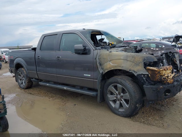 12637331 :رقم المزاد ، 1FTFW1ET1DKD17569 vin ، 2013 Ford F150 Supercrew مزاد بيع