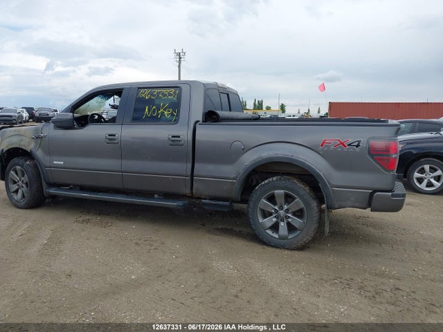12637331 :رقم المزاد ، 1FTFW1ET1DKD17569 vin ، 2013 Ford F150 Supercrew مزاد بيع