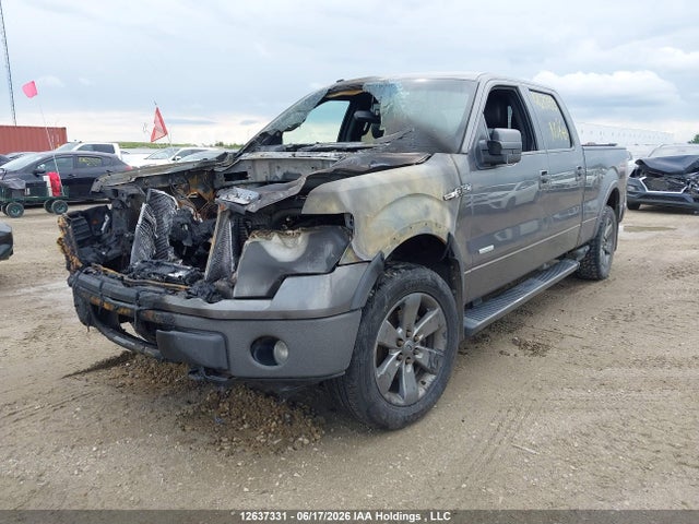12637331 :رقم المزاد ، 1FTFW1ET1DKD17569 vin ، 2013 Ford F150 Supercrew مزاد بيع
