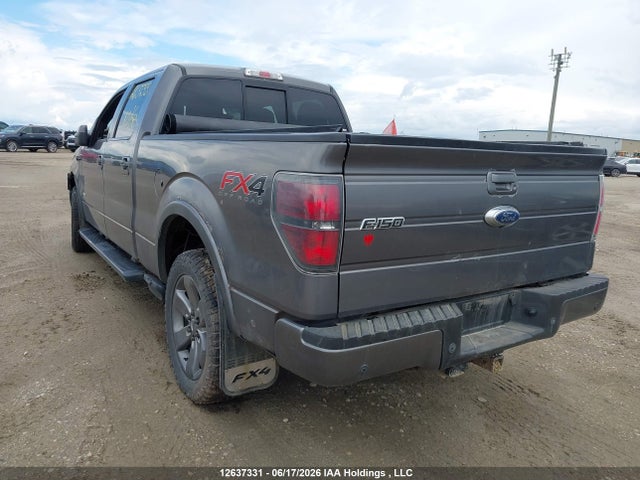 12637331 :رقم المزاد ، 1FTFW1ET1DKD17569 vin ، 2013 Ford F150 Supercrew مزاد بيع