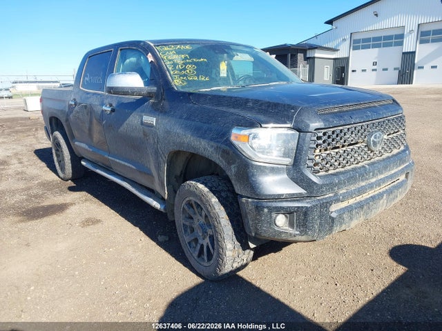 Продажа на аукционе авто 2020 Toyota Tundra Crewmax 1794/crewmax Platinum, vin: 5TFAY5F14LX932899, номер лота: 12637406