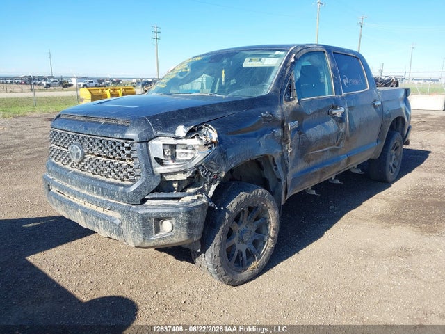 Продажа на аукционе авто 2020 Toyota Tundra Crewmax 1794/crewmax Platinum, vin: 5TFAY5F14LX932899, номер лота: 12637406