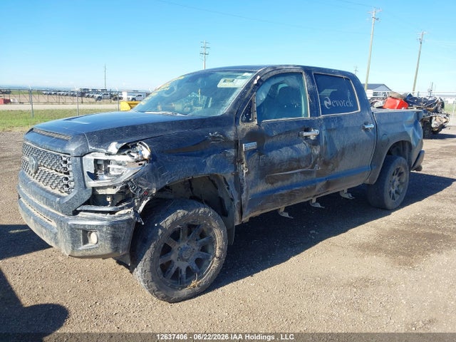 Продажа на аукционе авто 2020 Toyota Tundra Crewmax 1794/crewmax Platinum, vin: 5TFAY5F14LX932899, номер лота: 12637406