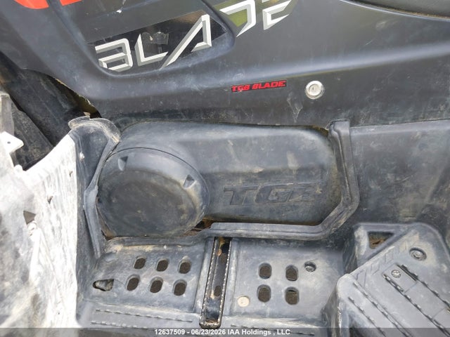 12637509 :رقم المزاد ، RFCTBETT4SY017848 vin ، 2025 Taiwan Golden Bee Atv مزاد بيع