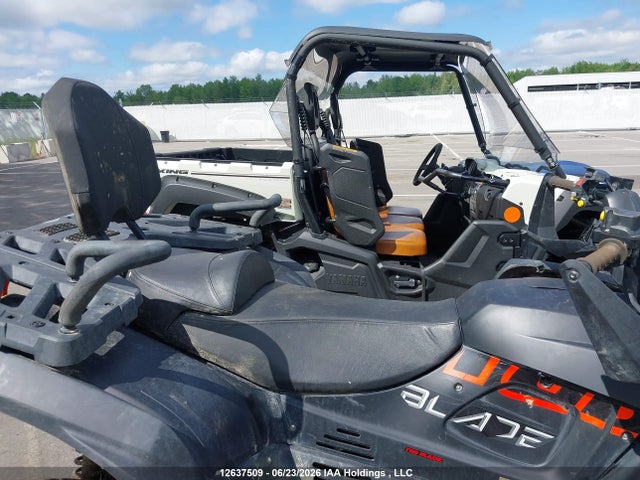 12637509 :رقم المزاد ، RFCTBETT4SY017848 vin ، 2025 Taiwan Golden Bee Atv مزاد بيع