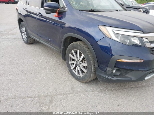 2021 Honda Pilot მანქანა იყიდება აუქციონზე, vin: 5FNYF6H73MB500831, აუქციონის ნომერი: 12637513