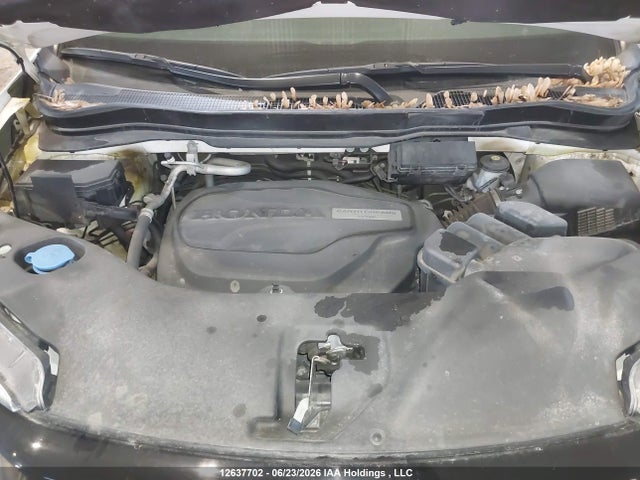 Продаж на аукціоні авто 2020 Honda Passport Sport, vin: 5FNYF8H2XLB501487, номер лоту: 12637702